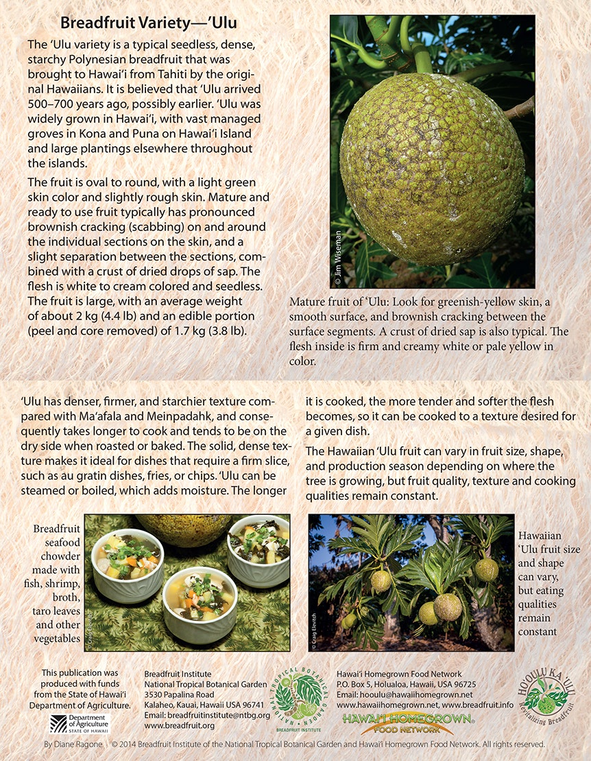 Breadfruit-variety-Ulu-card.jpg