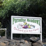Paradise Meadows sign