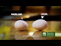 video thumbnail showing eggs