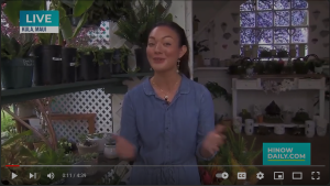 Link to Youtube video: Hi Now Daily segment 1 - Kula Country Farms