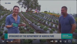 Link to Youtube video: Hi Now Daily segment 2 - Kula Country Farms