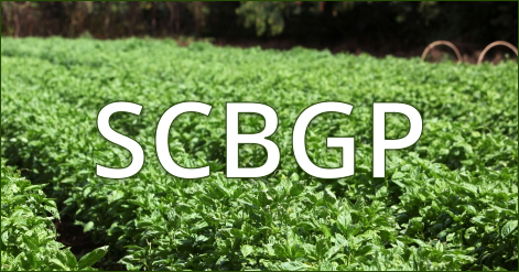 Specialty Crop Block Grant Program