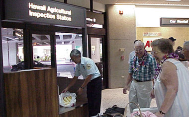 Picture of Airport inspection station