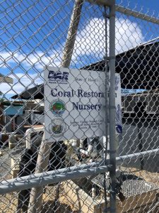 Coral Restoration Nursery at Anuenue Fisheries Research Center