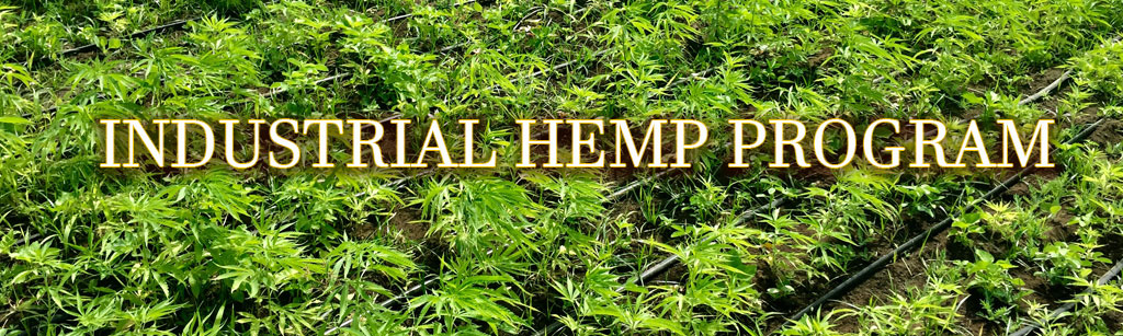 image of hemp field with the text "Industrial Hemp Program"