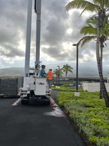 Bom truck used to treat tops of palm trees